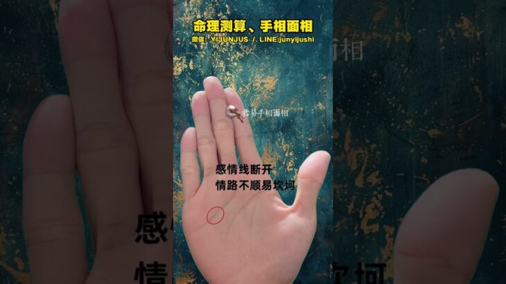 #palmistry #手相 #手相占い