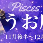 うお座♓️2024年11月後半〜12月前半🌝 驚きの大逆転！！その時がやって来る！予想外の快進撃、正直びっくり、素敵な采配