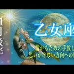 【11月後半✴︎乙女座】傷、過去を越える❤️‍🩹最強の行動力と変化！！手綱を持って進んでいける時！！とても豊かさを体感しながら過ごせる✴︎【2024】