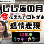 【2024年11月21日の星読み】獅子座の月と火星が0度「情熱的？！感情表現」／「今日の天体解釈と今！今伝えたい事がある星座は？ハッピー占い・占星術ライター山田ありす