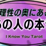 【タロット占い】理性の奥であの人はどう感じてるの？