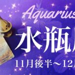 みずがめ座♒️2024年11月後半〜12月前半🌝 大転換のとき！！役割が明らかに変わる…もう戻らない、あなたを待つ新世界、乗り越えたものが確実になっていく