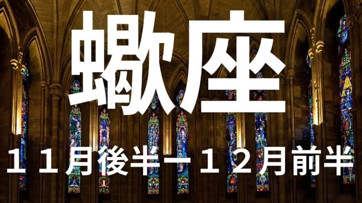 蠍座11月後半ー12月前半🌕願望成就！やっとそのことについての終止符が打てる時