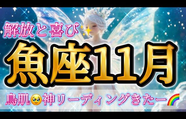 魚座11月♓️解放と喜び✨鳥肌🥹神リーディングきたー🌈