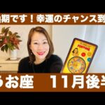 うお座♓️11月後半🔮転換期です！✨幸運のチャンス到来！！困難を克服した先の大きな実り！