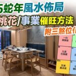 2025家居風水 (附繁簡字幕)｜蛇年家居佈局 催旺財位 桃花 健康 附化解方法 九宮飛星 室內設計 九運 家居風水 2025十二生肖 九運 蛇年預測 生肖運勢2025 犯太歲【囍趣睇相王EP112】