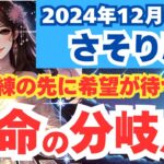 【さそり座】2024年12月の蠍座の運勢を夢流星がタロットカード占いと占星術で見る！新たな未来へのステップ変革と成長の月！【スピリチュアル】