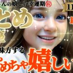 【乙女座♍11月後半運勢】めちゃめちゃ嬉しい事㊗️待ちに待った幸運期！！チャンスはアナタのもの！運が味方します　✡️キャラ別鑑定/ランキング付き✡️