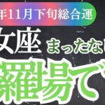 【乙女座】2024年11月下旬のおとめ座の星とタロットが導く乙女座の未来 11月下旬の運勢をチェック！