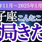 【双子座】2024年11月から2025年1月までのふたご座の運勢。星とタロットで読み解き、双子座を幸せへと導きます。