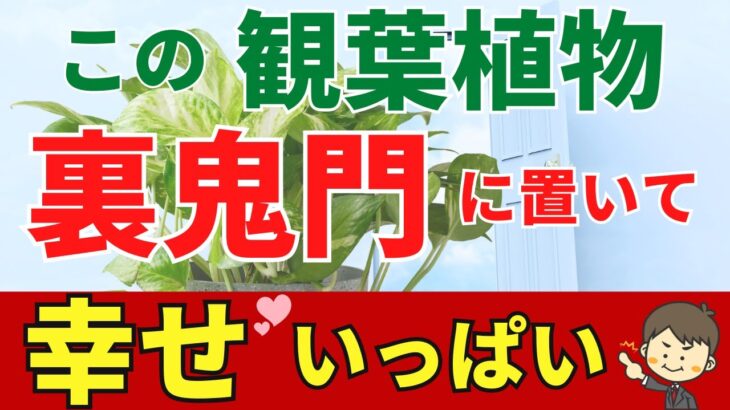 裏鬼門（南西）に置くだけで開運観葉植物！風水アドバイザーがご紹介