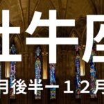 牡牛座１１月後半－１２月前半🌕やっと来た大逆転勝利！勇気と自信が結果に繋がる時【不思議と当たるタロットオラクルカードリーディング】