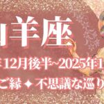 【やぎ座】12月後半運勢　幸運のご縁🍀人に恵まれ、不思議な巡り合わせが起こるとき🌈幸運の鍵は、やさしさを大切に【山羊座 １２月運勢】タロットリーディング