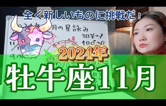 タイミングが合わないことは今じゃない！2024年11月 牡牛座の運勢