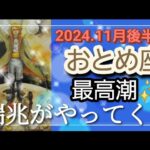 【11月後半🍀乙女座さんの運勢🌈最高潮✨瑞兆がやってくる！！あなたに光が降り注ぎます🌞✨