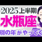 【みずがめ座2025】やることはたったひとつ☝️😇✨●●を使いまくる→成功する｜なぜかよく当たる?!きっと役に立つ タロット オラクルカード 占星術 詳細 綿密リーディング 水瓶座 保存版【占い】