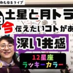 【2024年11月29日の星読み】蠍座の月と魚座の土星が120度トライン「深い共感」／「今日の天体解釈と今！今伝えたい事がある星座は？ハッピー占い・占星術ライター山田ありす