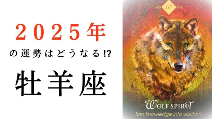 【牡羊座🎖️2025年の運勢】予想をはるかに超えた、圧巻の大躍進物語！ついに、スタート🎉タロット占い