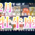 牡牛座12月運勢💫星とタロット占い🌈びっくりの展開😲ステージが変わる❗️本当の豊かさと幸せが待っています♪