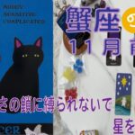 【蟹座】♋️⭐️11月前半⭐️正しさの鎖に縛られないように星を見上げて💖楽しみを数えてみよう。＊すみません。犬の鳴き声がだいぶ入っています🙇‍♀️🙇‍♀️🙇‍♀️