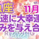 ♓魚座11月運勢🌈✨最高！！もう夜が明ける！幸運へは思ったより簡単に💐✨