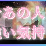 ものすごく強い気持ちを抱いてるお相手様🦄💖恋愛タロット占い🌞🌈