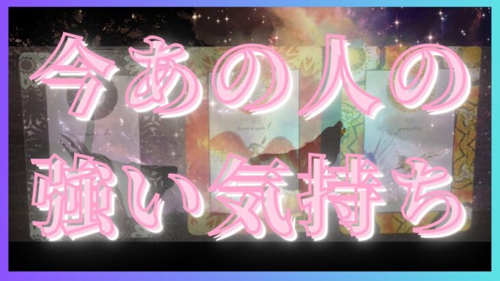 ものすごく強い気持ちを抱いてるお相手様🦄💖恋愛タロット占い🌞🌈