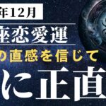 🔮蟹座必見！！♋️12月の恋愛運がすごい✨✨タロットと星占いでその運気の秘密を解説🩷