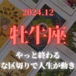 【牡牛座】  2024年12月✨やっと終わる、大きな区切りで人生が動き出す💖