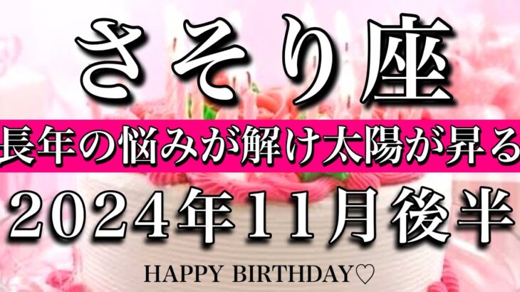 さそり座♏︎2024年11月後半 お誕生日おめでとうございます㊗️🎂🎊長年の不安が解け太陽が昇る☀️