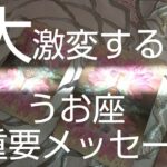 うお座♓️【見た時がタイミング‼️】頂天を突き破る‼️まだ上がある❗️🌈#スピリチュアル #カードリーディング #占い #オラクルカード #運命 #女神#うお座#魚座#個人鑑定級#大激変