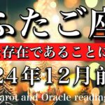 ふたご座♊︎2024年12月前半 道が見えてくる🕊️自分が特別なモノを持っていると気づく🌟　Gemini tarot  reading