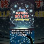 【獅子座】 2024年11月1日から30日までのしし座の運勢。星とタロットで読み解く未来 #獅子座 #しし座