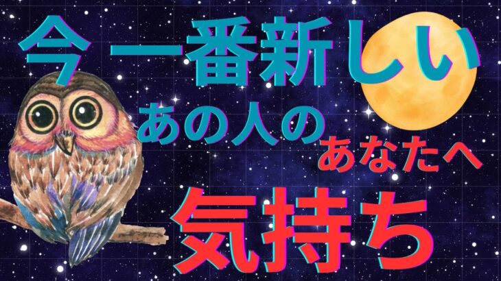 今一番新しいあの人の気持ちを聞きました。鳥肌もん🫨恋愛タロット占い ルノルマン オラクルカード 個人鑑定級に深掘りリーディング