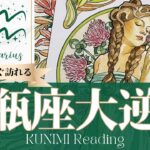 水瓶座♒疑っているその願いが叶う大逆転🍀もうすぐ訪れる大逆転🍀どんな大逆転が🍀いつ頃訪れる？🌝月星座みずがめ座さんも🌟タロットルノルマンオラクルカード