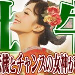 【おうし座12月下旬〜1月上旬】2024年末、チャンスの女神が訪れる｜大きな転機がやってくる【癒しの眠れる占い】