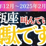 【水瓶座】2024年12月～2025年2月のみずがめ座の運勢をタロットと占星術で徹底解説！