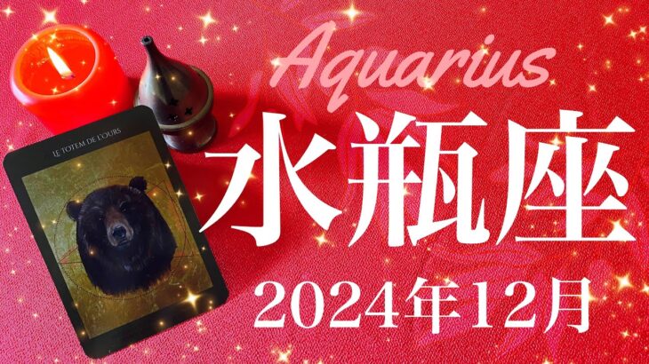 【みずがめ座】2024年12月♒️ やっぱり凄そう…！大転換の予感！機が熟し歯車が回り始める！川の向こう側、見返るのは過去の自分