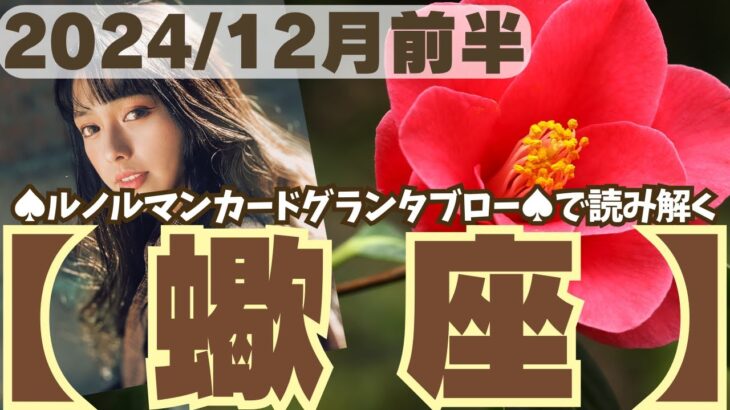 ❤️🕊️【さそり座♏さん】🌄《12月1日～12月15日》12月前半リーディング🌱2024年12星座別🔮蠍座運勢✨♠ルノルマンカードグランタブロー♠タロットカード・オラクルカードでもみていきましょう🔮