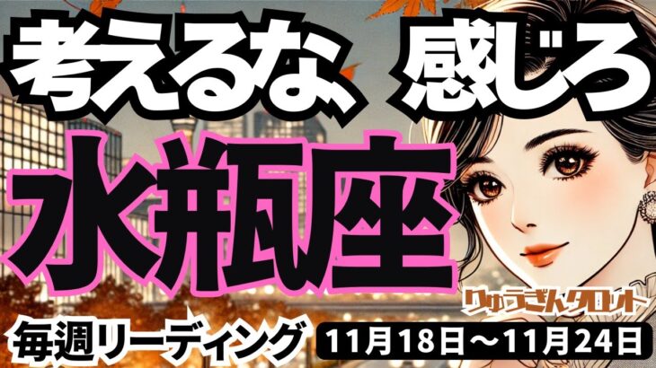 【水瓶座】♒️2024年11月18日の週♒️考えるな、感じろ😎新しい希望の時を迎え、スタートする🌈タロット占い🍀