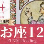 魚座♓12月運勢✨夢を叶えることを手助けしてくれるキーマンとの出会い🌟現状🌟仕事運🌟恋愛・結婚運🌟ラッキーカラー🌟開運アドバイス🌝月星座うお座さんも🌟タロットルノルマンオラクルカード