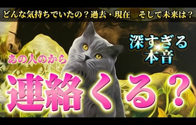 【深すぎる本音】あの人のから連絡くる？　リアルで深い超本音💗連絡がないあの人の気持ち　また繋がれるのか　復縁　音信不通　タロット占い