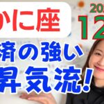 【かに座】ベストコンディションに整える✨ワクワクを受け取る！経済の強い上昇気流✨／占星術でみる12月の運勢と意識してほしいこと