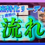 【緊急】うお座さんの２週間の流れ🌈ここから大きく変わりそうです・・・😳✨