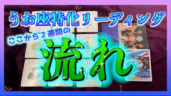 【緊急】うお座さんの２週間の流れ🌈ここから大きく変わりそうです・・・😳✨