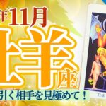 【牡羊座11月】深く付き合うべき人なのか、境界線を引くべき人なのか、それさえ分かれば大ラッキーに転じる‼️人間関係で悩む人必見❣️🥳🎊🔮🧚2024タロット&オラクル《週ごと》