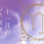 【山羊座さん♐︎】2024年11月の星座リーディング🌸🍀天とつながる✨