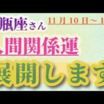 【水瓶座】 2024年11月10日から16日までのみずがめ座の人間関係運。星とタロットで読み解く未来 #水瓶座 #みずがめ座