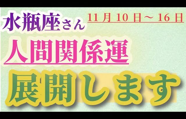 【水瓶座】 2024年11月10日から16日までのみずがめ座の人間関係運。星とタロットで読み解く未来 #水瓶座 #みずがめ座