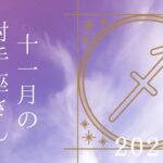 【射手座さん♐︎】2024年11月の星座リーディング🌸🍀考えるな動け👍